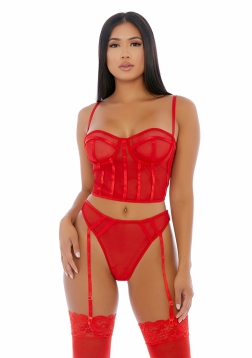 Sheer Intimacy - Mesh Bustier Set - S