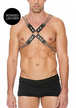 Chain and Chain Harness