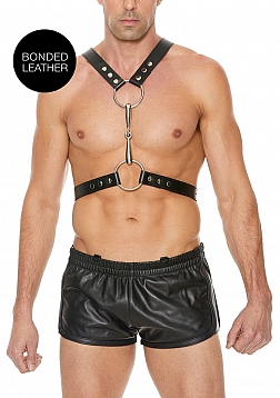 Men's Harness with Metal Bit - One Size