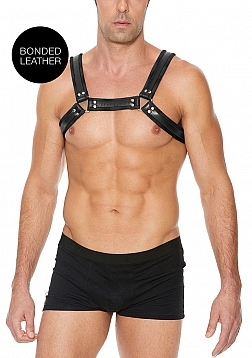 Leather Bulldog Harness with Buckles - S/M