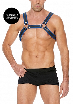 Leather Bulldog Harness with Buckles - L/XL