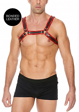 Leather Bulldog Harness with Buckles - L/XL