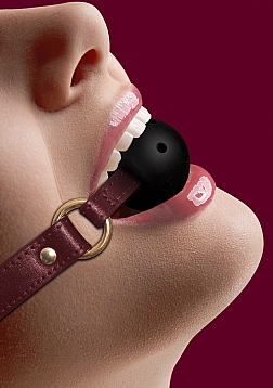 Breathable Ball Gag