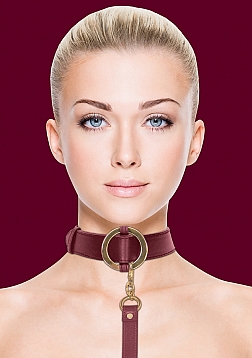 Luxurious Collar with Leash