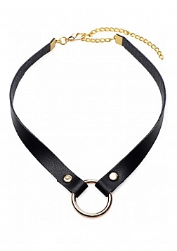 Posh Pet - Narrow Leather Collar with Gold Details