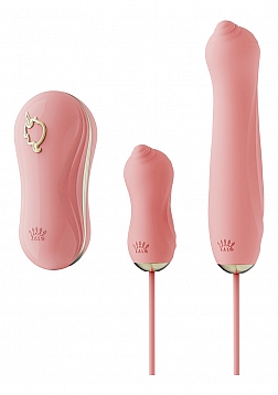 Sucking Vibrator with Pump and Different Attachments