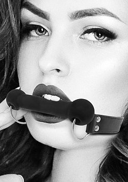 Silicone Bit Gag