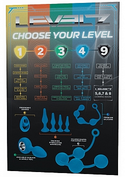 LEVELZ - Infographic Poster