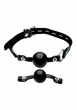 Interchangeable Silicone Ball Gag Set