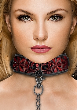 Collar with Leash