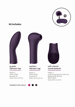 Switch - Pleasure Kit #2 - Purple